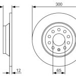 FREN DİSKİ ARKA VW PASSAT-ARTEON-TIGUAN 2015 => [300 /12-10 MM] (2 AD )