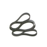 6PK1755 KANALLI V KAYIŞI CITROEN; GAZ BERLİNGO 1.9 DİESEL; BERLİNGO 2.0 HDİ; C5 2.0 HDİ; C5 2.0 HDİ  BREAK; E VASYON 2.0 HDY; GAZELLE 2.4; JUMPY 1.9 DY (1 AD )