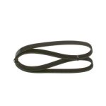 6PK1165 KANALLI V KAYIŞI BMW; CITROEN; DACIA; FIAT; LANCIA; PEUGEOT; RENAULT 116 İ; 118 İ; 19 1.7; 1 9 1.7Y;  19 1.8Y; 19 1.8Y CABRYO; 19 1.9 DYESEL; 1 (1 AD )