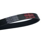 KANALLI KAYIS ALFA/BMW/FIAT/HYUNDAI/KIA/LANCIA/MITSUBISHI/RENAULT/TOYOTA (1 AD )