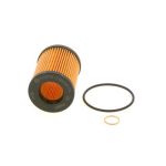 P7173 YAG FİLTRESİ BMW F20 F30 N13 (1 AD )