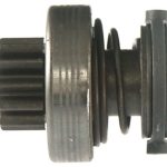 MARŞ DİŞLİSİ (1 AD )