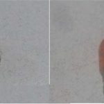 12V 5W BÜYÜK DİPSİZ AMPUL SARI TURUNCU (2 AD )